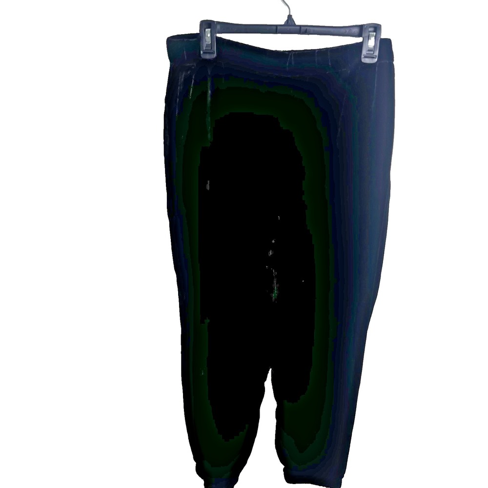 Eileen Fisher‎ Black Velvet Ankle Pant L Pockets Stretch Silk Blend New Career